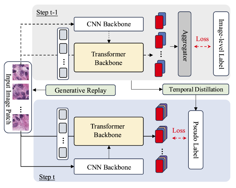 Continual learning histopathology segmentation paper thumbnail